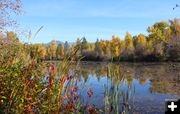Mill pond. Photo by LibbyMT.com.
