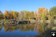 Mill pond. Photo by LibbyMT.com.