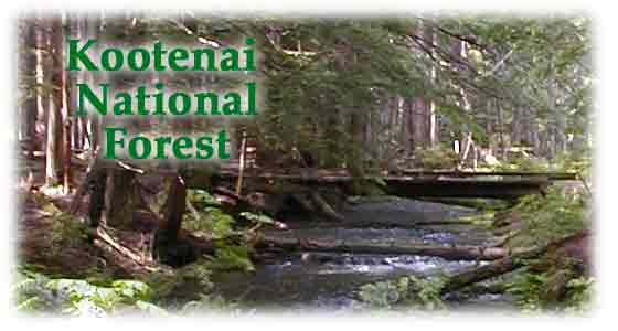 Kootenai National Forest (Ross Creek)