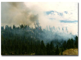 Wildfire on the Kootenai National Forest