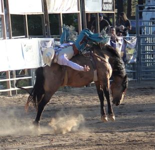Bareback Riding at the Kootenai River Stampede