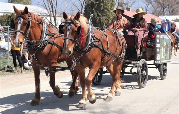 Horse Drawn Carriage Services. Photo by LibbyMT.com.