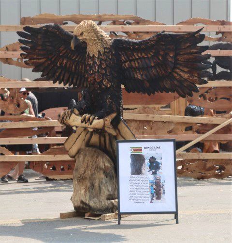 Bongo Love Eagle. Photo by LibbyMT.com.