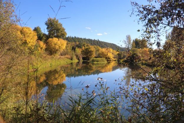 A serene view. Photo by LibbyMT.com.